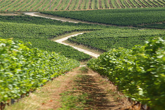 Λίγα λόγια για το wine club μας…