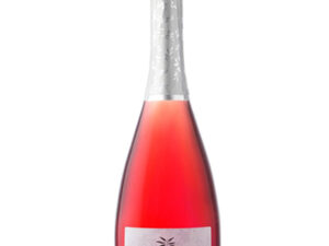 Kir Yianni Akakies Sparkling 2021 750ml Kir Yianni Akakies Sparkling 2021 750ml